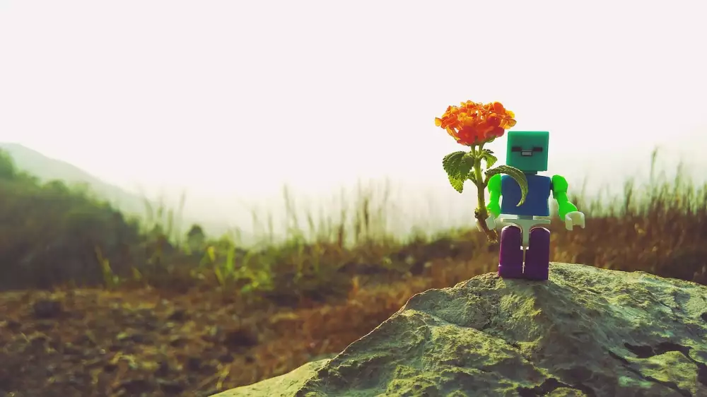 Lego Kytky