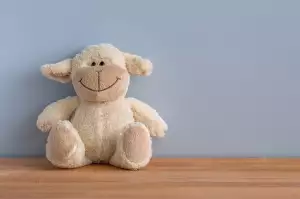 Tlapková Patrola Hračky