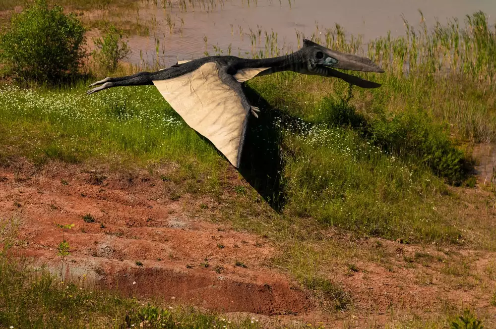 Diplodocus