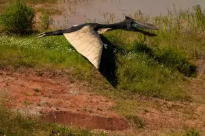 Diplodocus