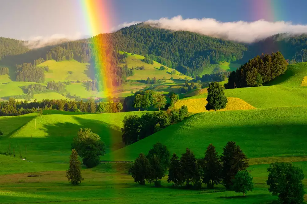 Rainbow Panenka