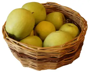 Kosik