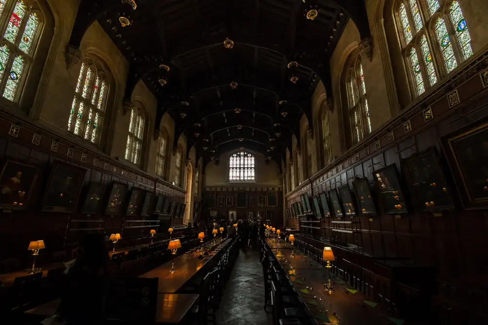 Hůlka Harry Potter