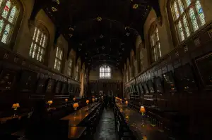 Hůlka Harry Potter